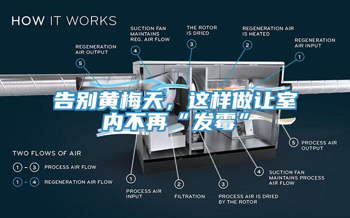 告別黃梅天，這樣做讓室內(nèi)不再“發(fā)霉”