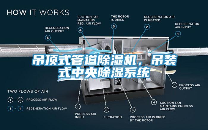 吊頂式管道除濕機，吊裝式中央除濕系統