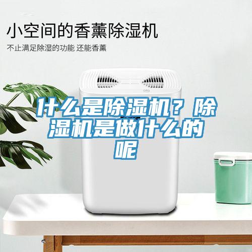 什么是除濕機？除濕機是做什么的呢