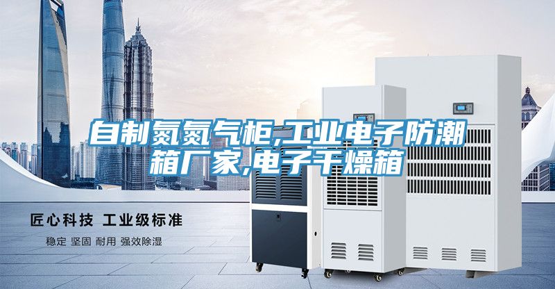 自制氮氮氣柜,工業電子防潮箱廠家,電子干燥箱