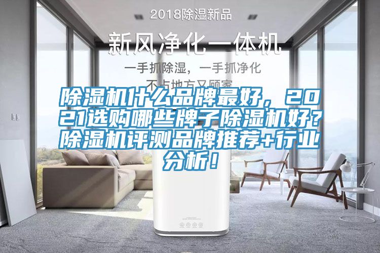 除濕機什么品牌最好，2021選購哪些牌子除濕機好？除濕機評測品牌推薦+行業分析！