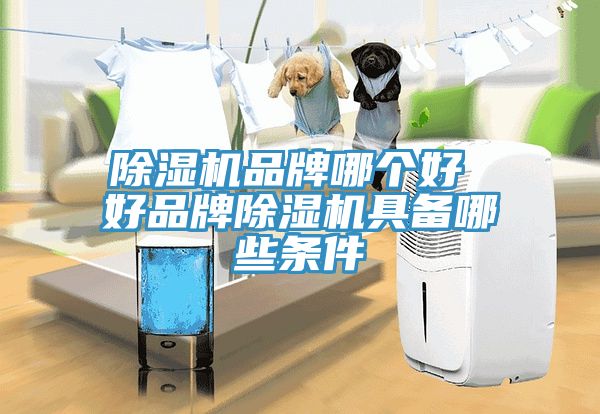 除濕機(jī)品牌哪個好 好品牌除濕機(jī)具備哪些條件