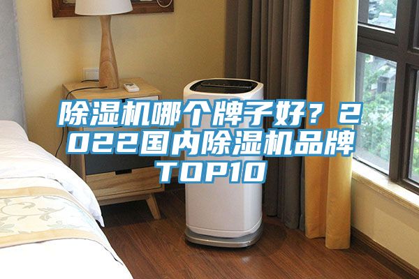 除濕機哪個牌子好？2022國內除濕機品牌TOP10