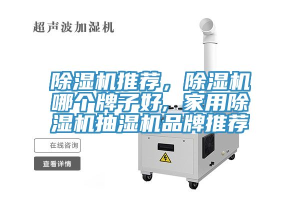 除濕機推薦，除濕機哪個牌子好, 家用除濕機抽濕機品牌推薦