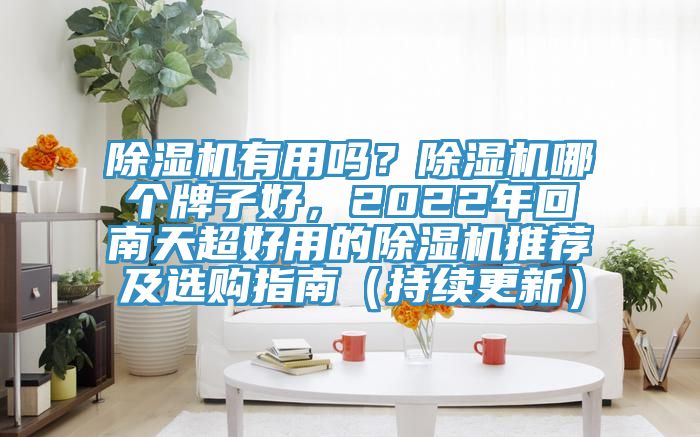 除濕機有用嗎？除濕機哪個牌子好，2022年回南天超好用的除濕機推薦及選購指南（持續更新）