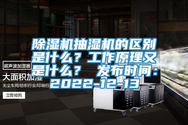 除濕機抽濕機的區別是什么？工作原理又是什么？ 發布時間：2022-12-13