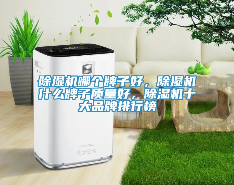 除濕機哪個牌子好，除濕機什么牌子質量好，除濕機十大品牌排行榜