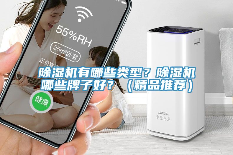 除濕機有哪些類型？除濕機哪些牌子好？（精品推薦）